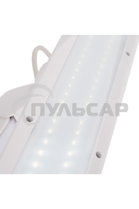 Лампа настольная бестеневая Rexant, струбцина, 