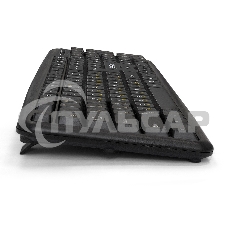 Комплект клавиатура + мышь ExeGate EX286204RUS Professional Standard Combo MK120