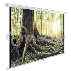 Экран Cactus 220x220см WallExpert CS-PSWE-220x220-WT 1:1 настенно-потолочный рулонный