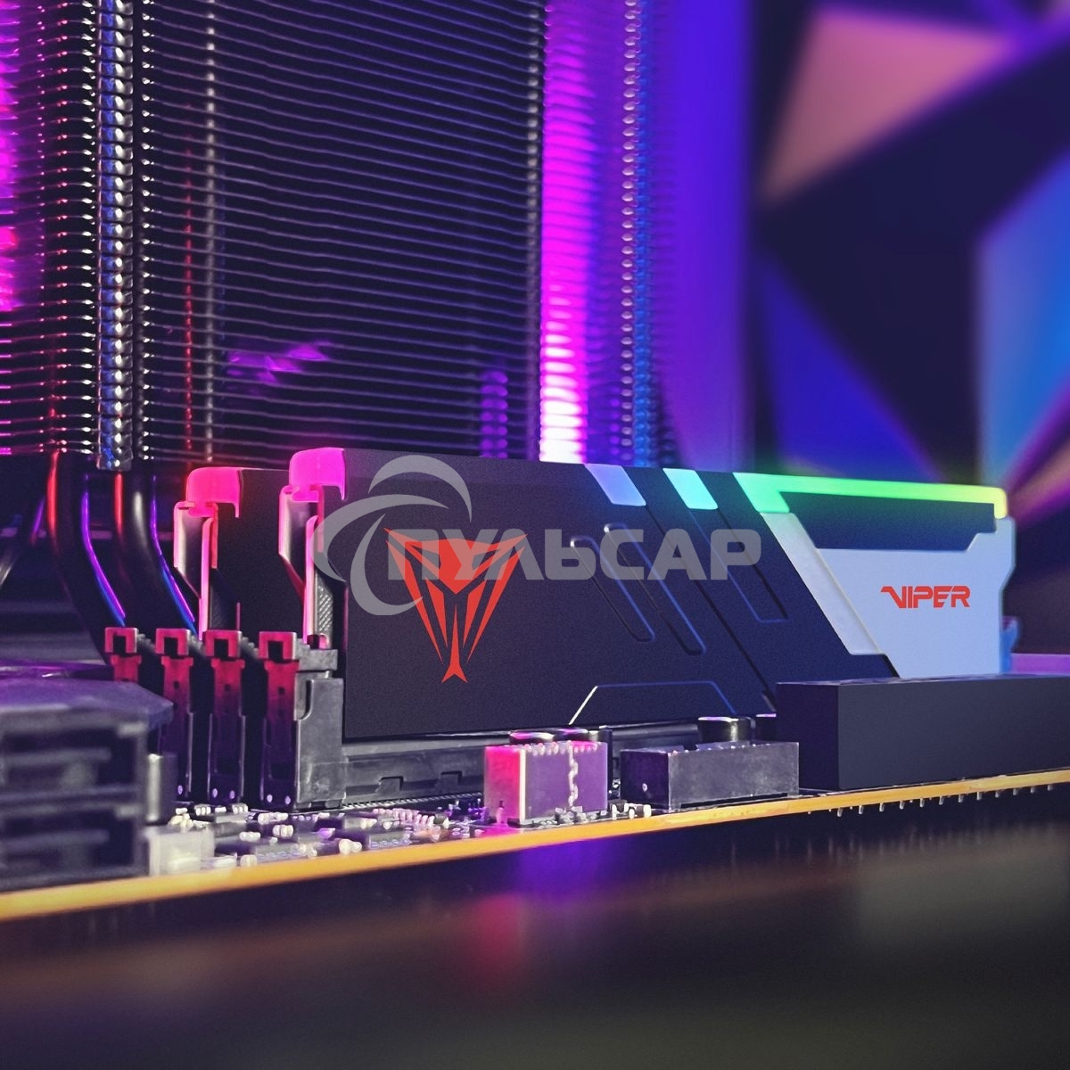 Оперативная память Patriot Viper Venom, DDR5, 32Gb (2x16Gb), 6600MHz, CL34, DIMM, с радиаторами, RGB, черный