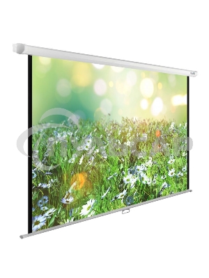 Экран Cactus 200x200см WallExpert CS-PSWE-200x200-WT 1:1 настенно-потолочный рулонный