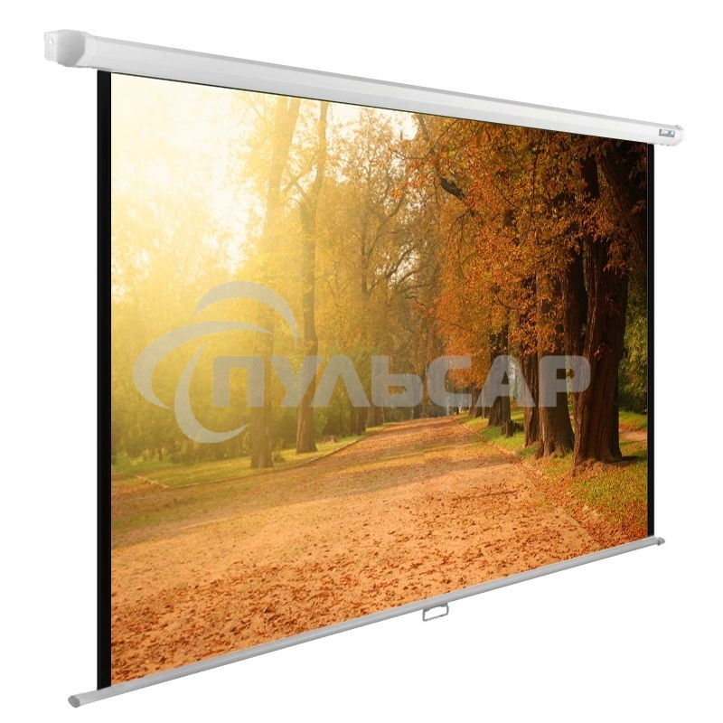 Экран Cactus 125x200см WallExpert CS-PSWE-200x125-WT 16:10 настенно-потолочный рулонный