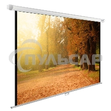Экран Cactus 125x200см WallExpert CS-PSWE-200x125-WT 16:10 настенно-потолочный рулонный