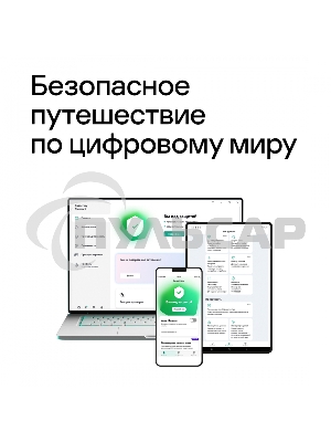 ПО Kaspersky Standard 5-Device 1Y Base Box (KL1041RBEFS)