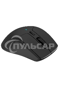 Мышь беспроводная Acer OMR150 черный, 1600 dpi, радиоканал, USB, кнопки - 6