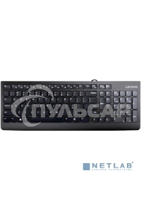 Клавиатура проводная Lenovo GX30M39684 300 USB Keyboard