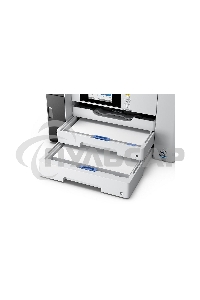 МФУ струйное EPSON M15180 (C11CJ41408), A3+, ч/б, печ. до 25 стр/мин., скан. до 26 стр/мин., 4800 x 1200 dpi (печать) 1200x1200dpi, USB, RJ-45, Wi-Fi, Air Print