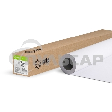 Бумага Cactus CS-PC120-91430 36