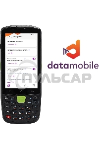 Неискл. право на исп-ие ПО DataMobile версия Стандарт подп.1г. (DM12M)
