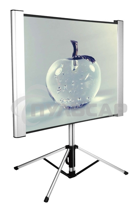 Экран Cactus 102x180см TriAlExpert CS-PSTALE-180X102 16:9 напольный рулонный