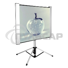 Экран Cactus 102x180см TriAlExpert CS-PSTALE-180X102 16:9 напольный рулонный