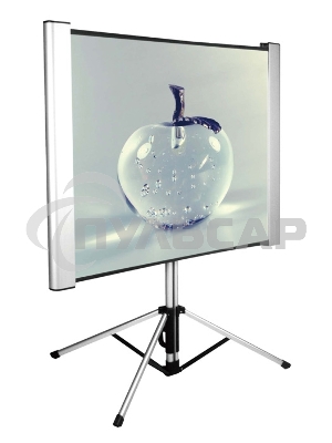 Экран Cactus 102x180см TriAlExpert CS-PSTALE-180X102 16:9 напольный рулонный