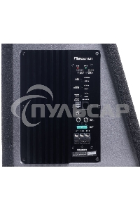 Сабвуфер автомобильный Nakamichi NBX255A 300Вт активный (25см/10