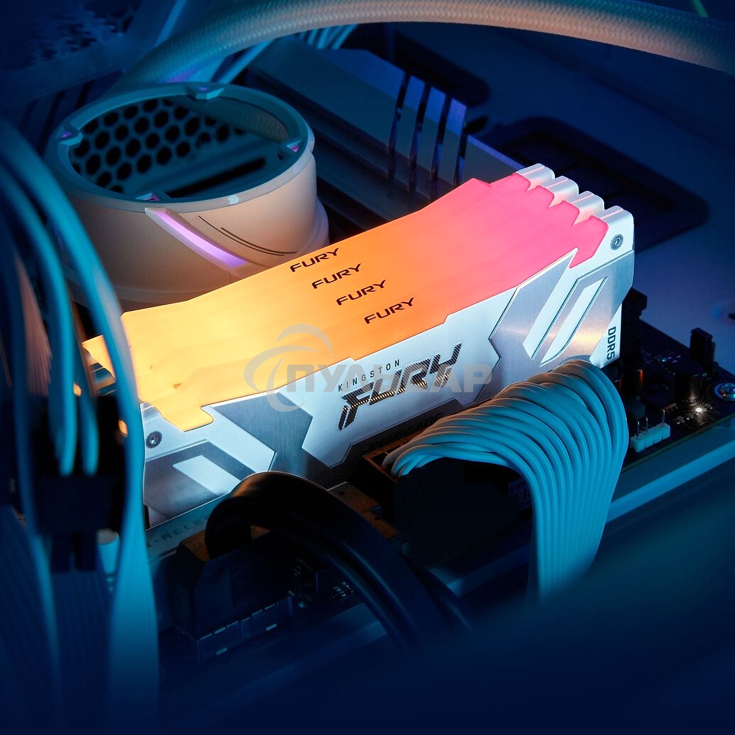 Оперативная память Kingston Fury Renegade, DDR5, 16Gb (1x16Gb), 8000MHz, CL38, DIMM, радиатор, RGB, белый