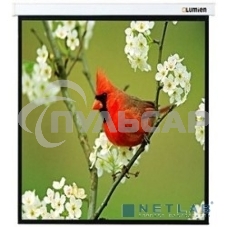 Экраны LUMIEN LUMIEN Master Picture LMP-100129 220*220 1:1, черная кайма по периметру
