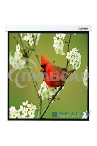 Экраны LUMIEN LUMIEN Master Picture LMP-100129 220*220 1:1, черная кайма по периметру