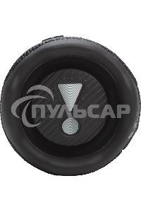 Колонка портативная JBL Flip 7 черный 25W 1.0 BT 4800mAh (JBLFLIP7BLK)