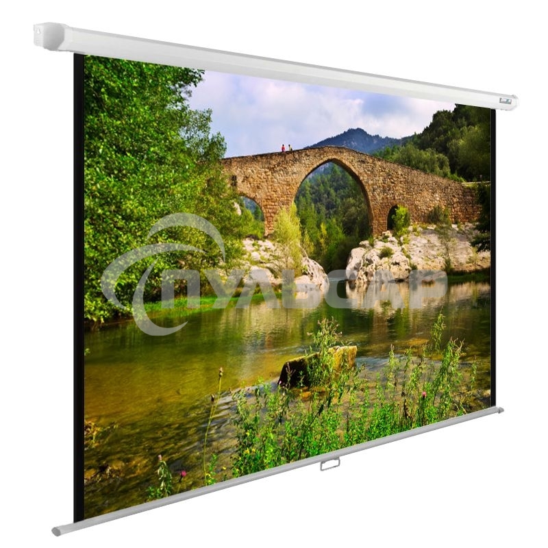 Экран Cactus 220x165см WallExpert CS-PSWE-220x165-WT 1:1 настенно-потолочный рулонный белый