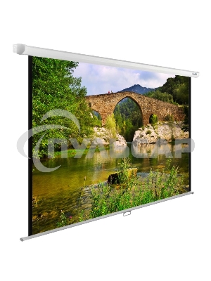 Экран Cactus 220x165см WallExpert CS-PSWE-220x165-WT 1:1 настенно-потолочный рулонный белый