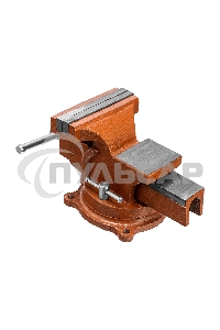 Тиски SPARTA 186255слесарные 125мм поворотные с наковальней