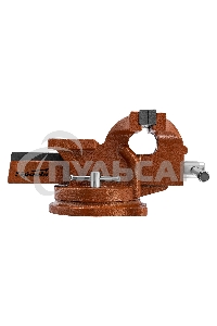 Тиски SPARTA 186255слесарные 125мм поворотные с наковальней