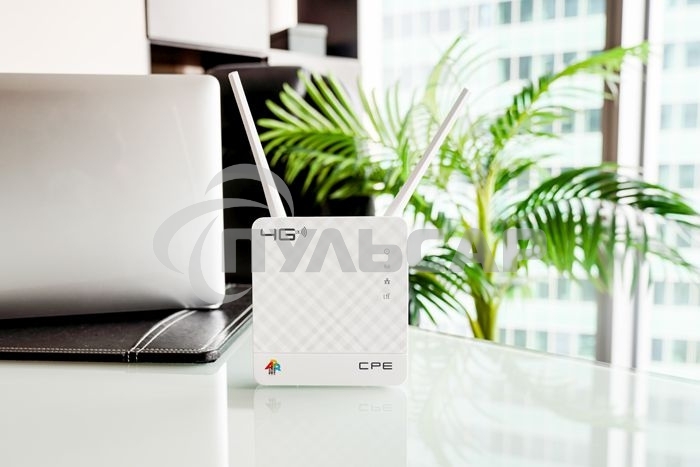 Интернет-центр Anydata R200 (W0047591) 10/100BASE-TX/4G(3G)