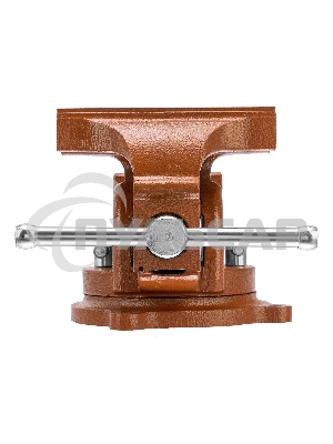 Тиски SPARTA 186255слесарные 125мм поворотные с наковальней