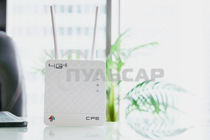 Интернет-центр Anydata R200 (W0047591) 10/100BASE-TX/4G(3G)