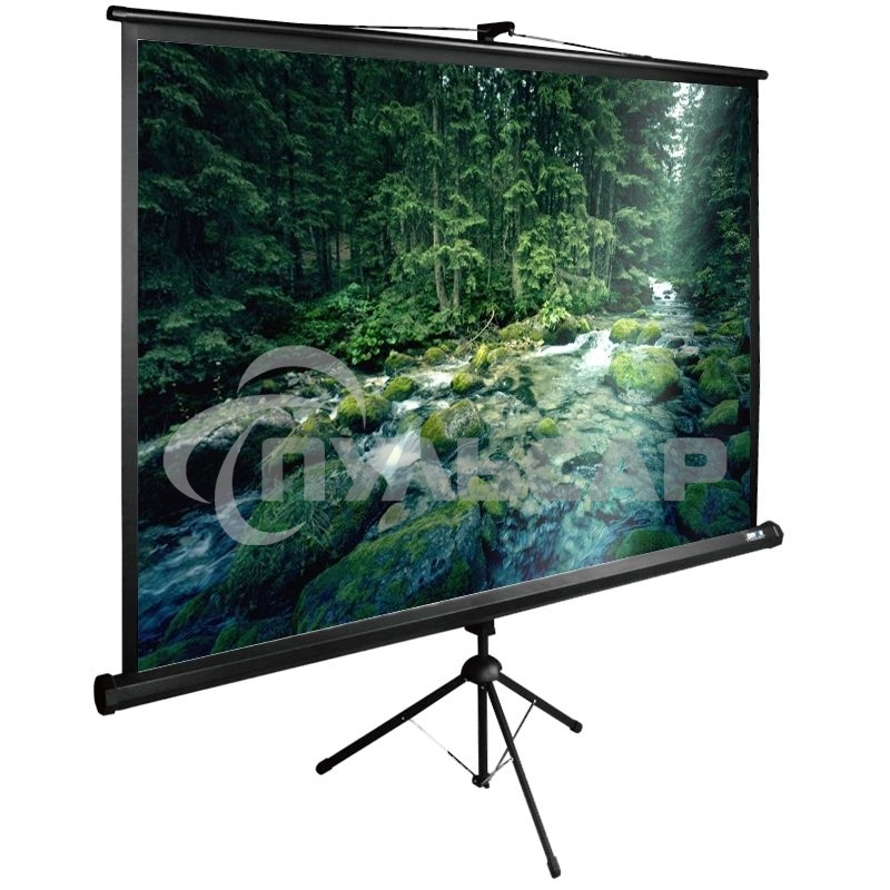 Экран Cactus 165x220см TriExpert CS-PSTE-220х165-BK 4:3 напольный рулонный