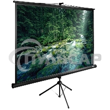 Экран Cactus 165x220см TriExpert CS-PSTE-220х165-BK 4:3 напольный рулонный