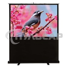 Экран Cactus 90x120см FloorCompactExpert CS-PSFLCE-120X90 4:3 напольный рулонный