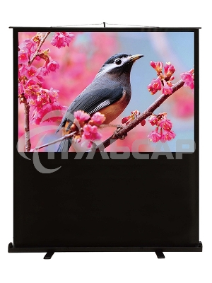 Экран Cactus 90x120см FloorCompactExpert CS-PSFLCE-120X90 4:3 напольный рулонный