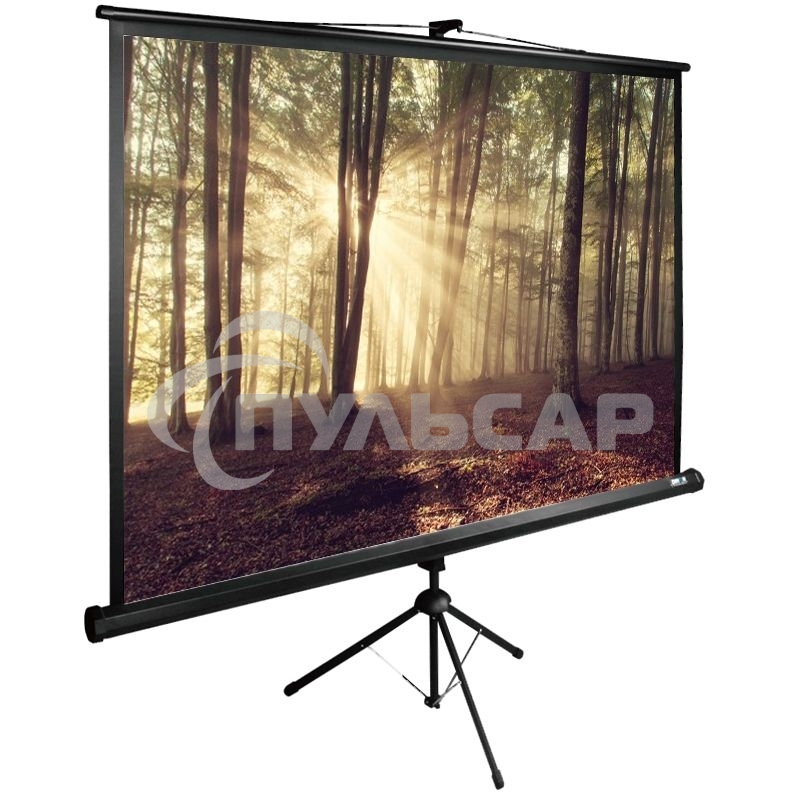 Экран Cactus 135x180см TriExpert CS-PSTE-180х135-BK 4:3 напольный рулонный