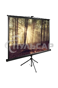 Экран Cactus 135x180см TriExpert CS-PSTE-180х135-BK 4:3 напольный рулонный
