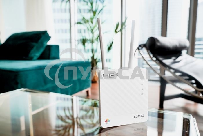 Интернет-центр Anydata R200 (W0047591) 10/100BASE-TX/4G(3G)