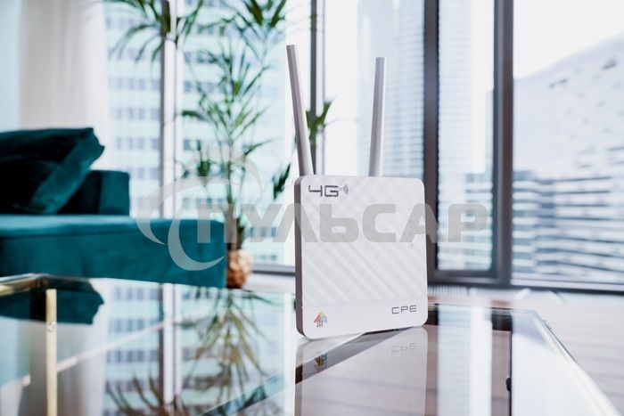 Интернет-центр Anydata R200 (W0047591) 10/100BASE-TX/4G(3G)