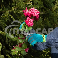 Перчатки садовые на липучке, силиконовое нанесение, размер 7, Luxe Palisad