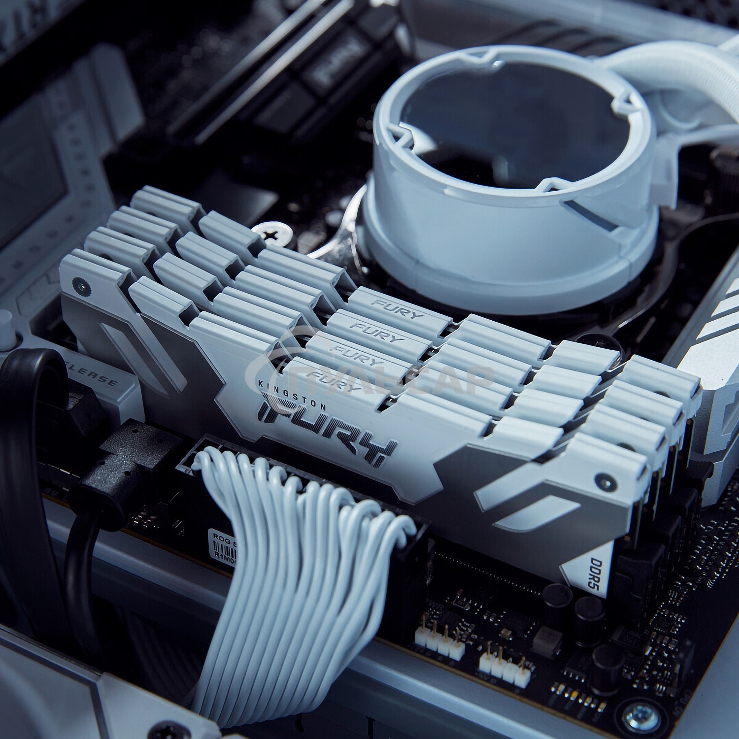 Оперативная память Kingston Fury Renegade, DDR5, 32Gb (1x32Gb), 6400MHz, CL32, DIMM, радиатор, белый