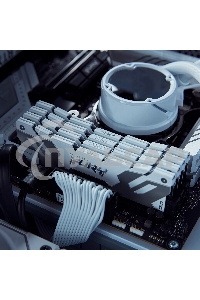 Оперативная память Kingston Fury Renegade, DDR5, 32Gb (1x32Gb), 6400MHz, CL32, DIMM, радиатор, белый