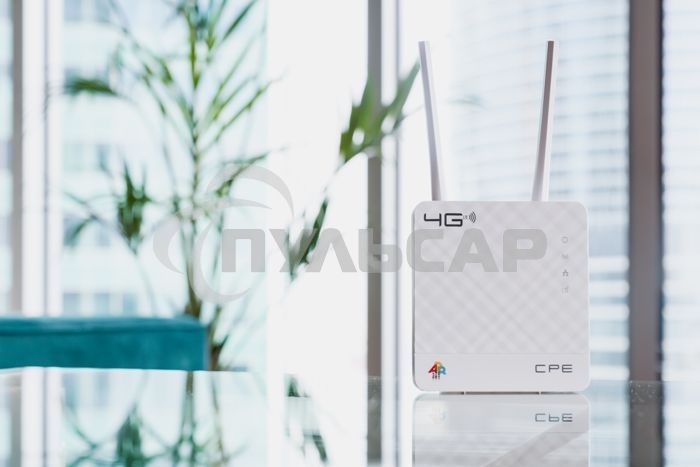 Интернет-центр Anydata R200 (W0047591) 10/100BASE-TX/4G(3G)