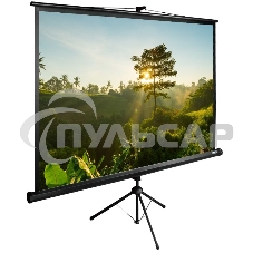 Экран Cactus 200x200см TriExpert CS-PSTE-200х200-BK 1:1 напольный рулонный