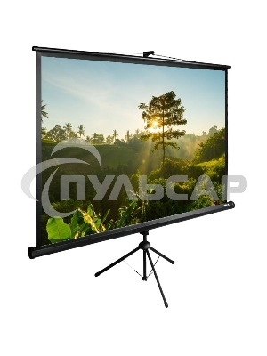 Экран Cactus 200x200см TriExpert CS-PSTE-200х200-BK 1:1 напольный рулонный