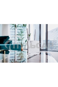 Интернет-центр Anydata R200 (W0047591) 10/100BASE-TX/4G(3G)