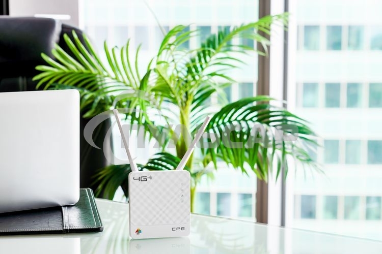 Интернет-центр Anydata R200 (W0047591) 10/100BASE-TX/4G(3G)