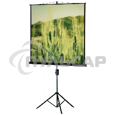 Экраны LUMIEN LUMIEN Master Picture LMP-100101, 127х127 см, 1:1