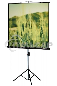 Экраны LUMIEN LUMIEN Master Picture LMP-100101, 127х127 см, 1:1