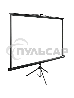 Экран Cactus 160x160см TriExpert CS-PSTE-160x160-BK 1:1 напольный рулонный