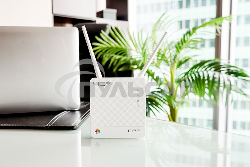 Интернет-центр Anydata R200 (W0047591) 10/100BASE-TX/4G(3G)