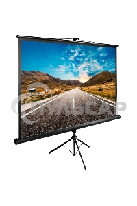 Экран Cactus 160x160см TriExpert CS-PSTE-160x160-BK 1:1 напольный рулонный