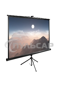 Экран Cactus 180x180см TriExpert CS-PSTE-180x180-BK 1:1 напольный рулонный